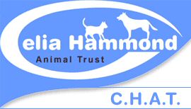 Celia Hammong