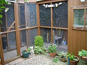 Cattery