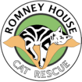 Romney logo