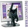 Cat Chat