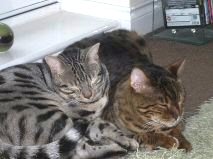 Wally & Winky