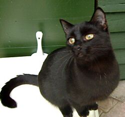 Billy