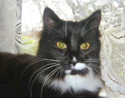 Mildred