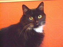 Mildred