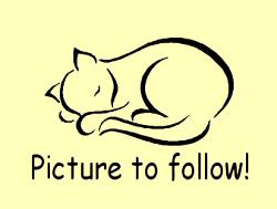 Pictire to follow!
