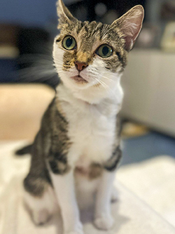 Margarita