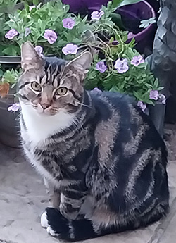 William